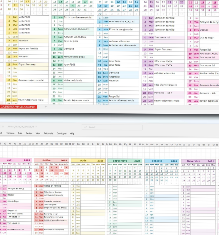🖇️ 🖇️ 2025 School Budget Year at a Glance Planner Template | dream life manifestation