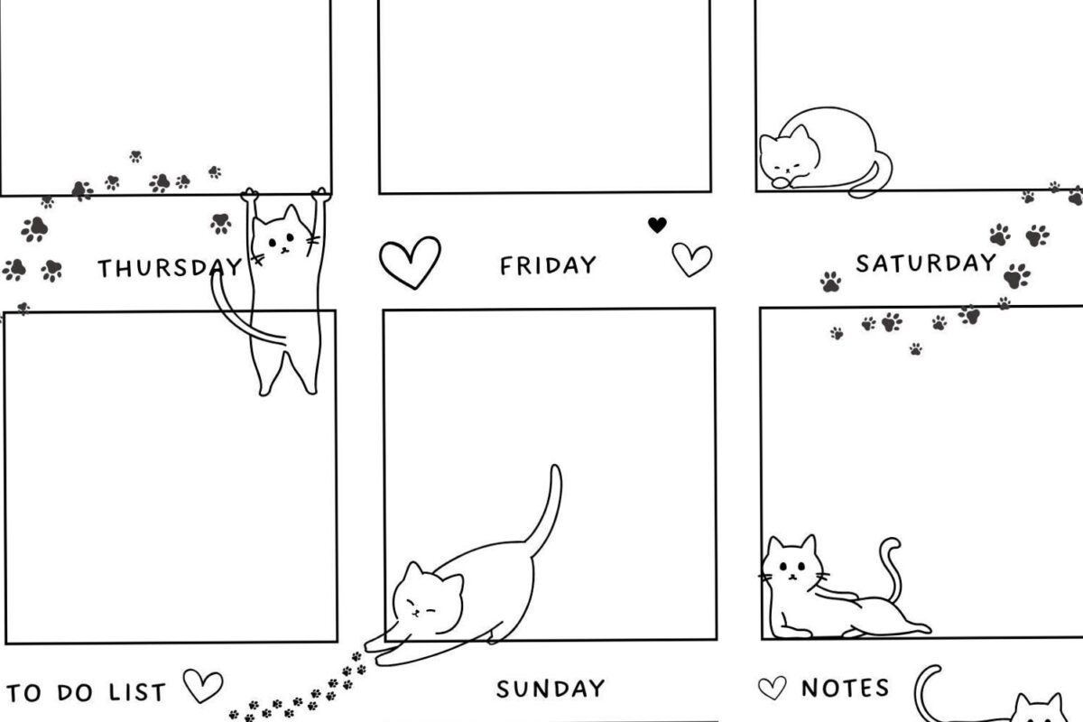 📊 📅 Cute Cat Weekly Planner | Printable PDF Schedule | Black & White Organizer Instant Download | romanticize your routine