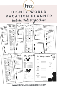 Disney World Vacation Planner Free Printable — 📍 🪄 secret to staying productive