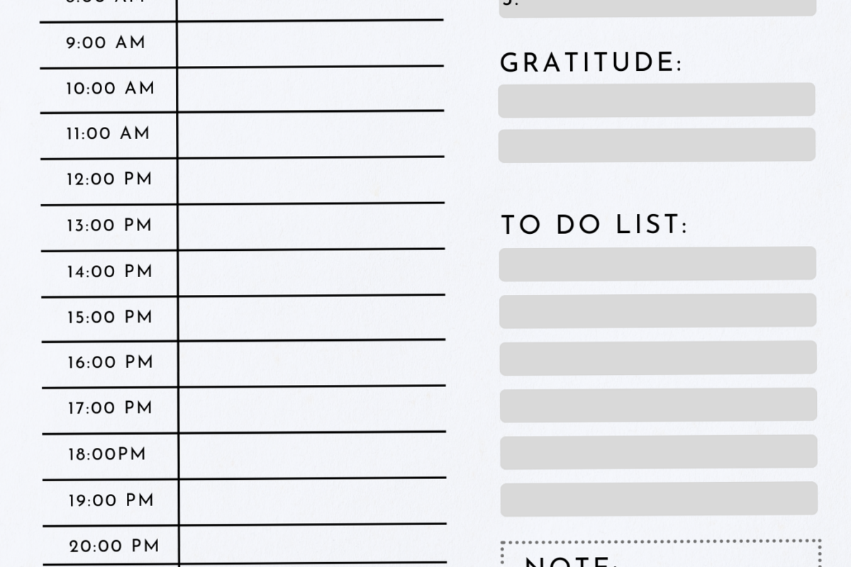 📁 📁 dream life manifestation: Minimalist Daily Planner | Printable Productivity Template