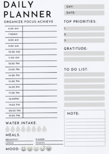 📁 📁 dream life manifestation: Minimalist Daily Planner | Printable Productivity Template