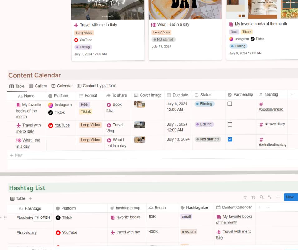 🤍 ☁️ game-changing digital system: Content Creator Planner: Notion Template (Printable)