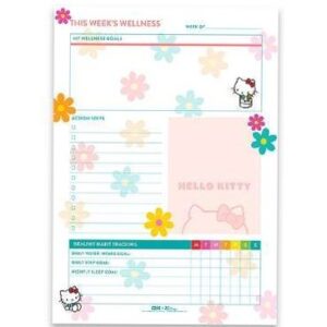 🎀 🕯️ Hello Kitty Planners & Stationery by Erin Condren | dream life manifestation