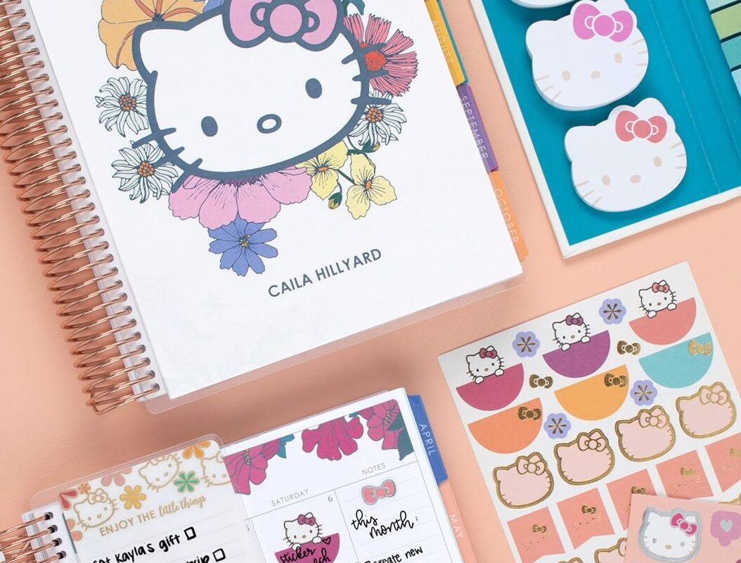 Hello Kitty Planners & Stationery | Erin Condren Design — 🌿 🤍 dream life manifestation