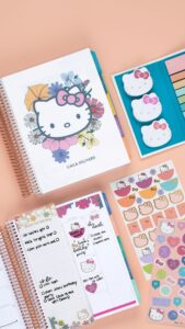 Hello Kitty Planners & Stationery | Erin Condren Design — 🌿 🤍 dream life manifestation