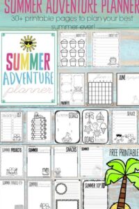 Kids Summer Adventure Planner 2026 Life Admin Tool — 💍 🍰 dream life manifestation