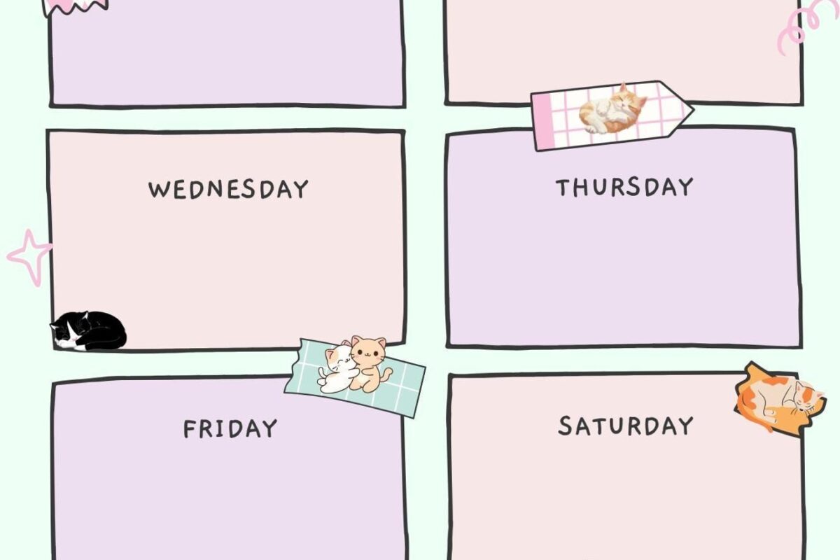 ✨ ✨ Minimalist Weekly Planner with Habit Tracker | Editable & Printable | essential planning guide