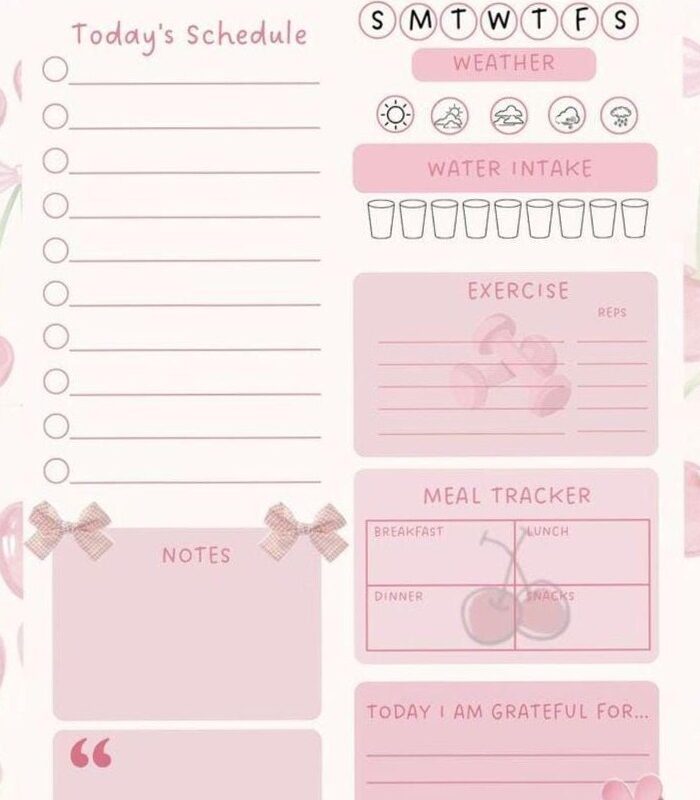 🖇️ 📁 Pink Kawaii Planner Page with Meal & Water Tracker | Printable & Digital | no-stress tracker