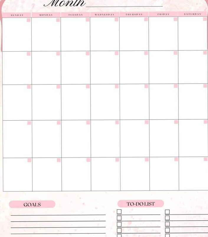 🥂 🌸 Pink Monthly Planner PDF with Budget & Affirmation Pages | dream life manifestation