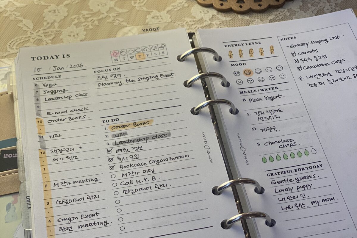 💌 💌 secret to staying productive: Daily Wellness Planner Printable | Self Care Inserts