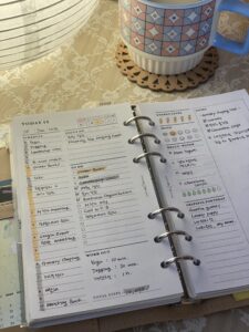 💌 💌 secret to staying productive: Daily Wellness Planner Printable | Self Care Inserts