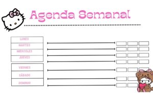 📌 🖇️ secret to staying productive: Weekly Agenda Design 🌷