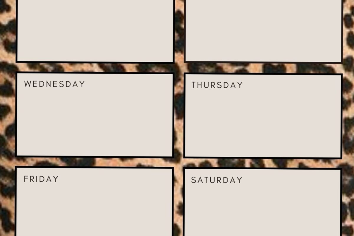 🎀 🎀 stay inspired all year long: Weekly Cleaning Planner | Digital Design & Creative Assets