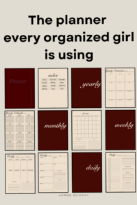 📝 📝 The Planner Every Organized Girl Uses | dream life manifestation