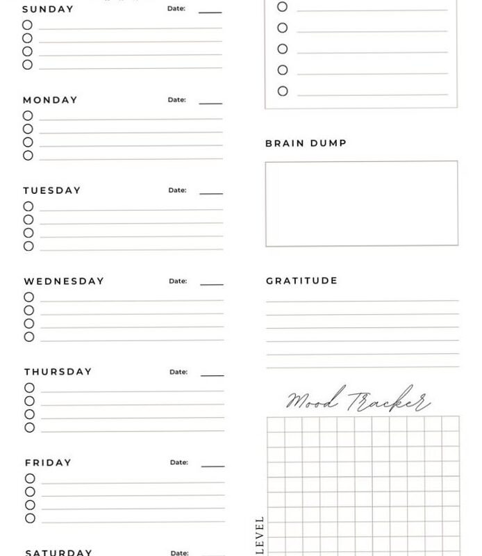 📁 📊 Weekly Planner Template | Digital Design Sheet | secret to staying productive