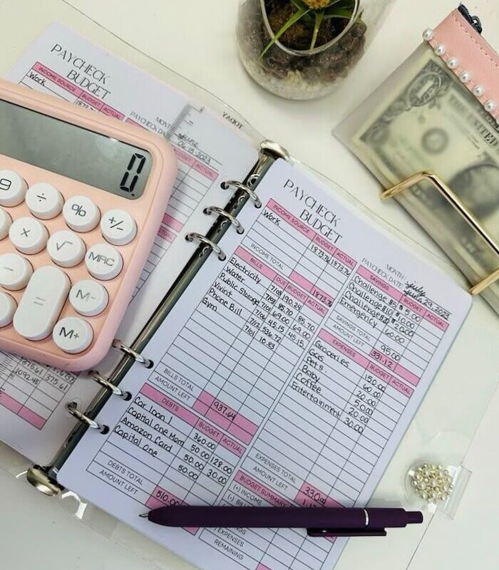 🍰 🥂 Budget Planner Journal for Household Management | dream life manifestation