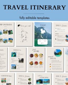 Creative Assets & Digital Design for Planners | Site Vee — 🤍 🎀 stay inspired all year long