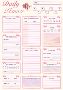 🖌️ 📍 Daily Planner for Productivity & Balance | romanticize your routine