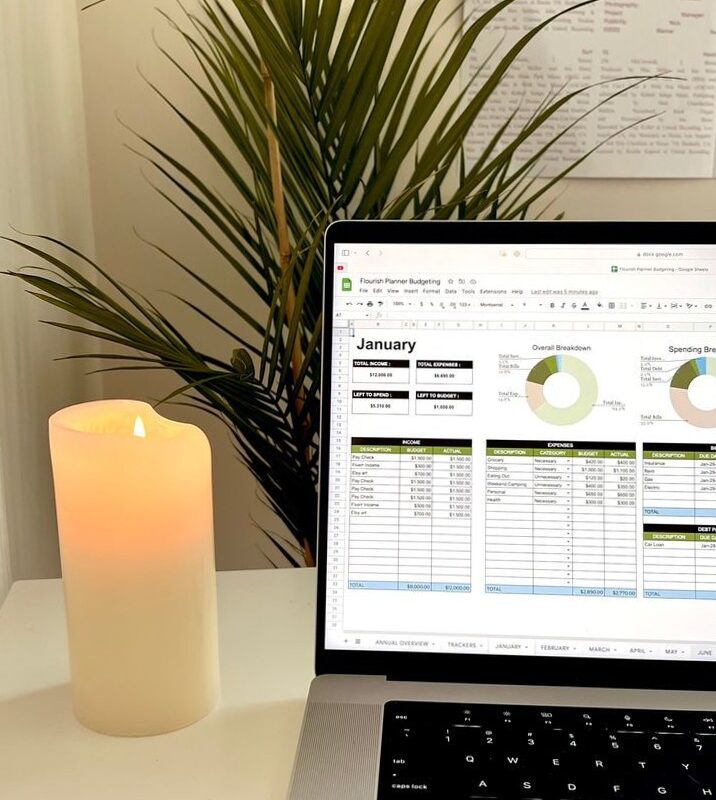 ✨ 🌿 Efficient Spreadsheet for Financial Management | game-changing digital system
