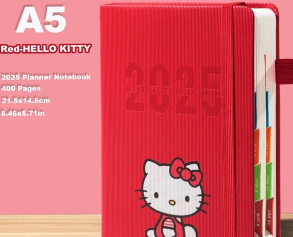 Hello Kitty 2025 Planner — Pink/Red OS Size — 🌸 🥂 dream life manifestation