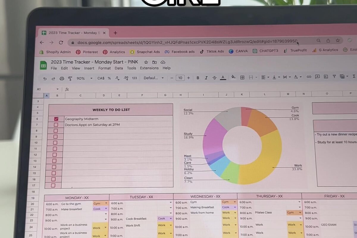 How I Became That Girl with a Spreadsheet — 💎 🌈 only tool for life admin