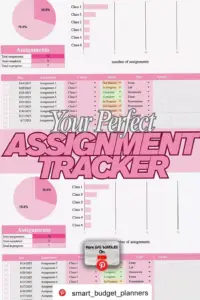 🥂 💌 no-stress tracker: Student Study Planner | Assignment Tracker | Digital Excel Spreadsheet