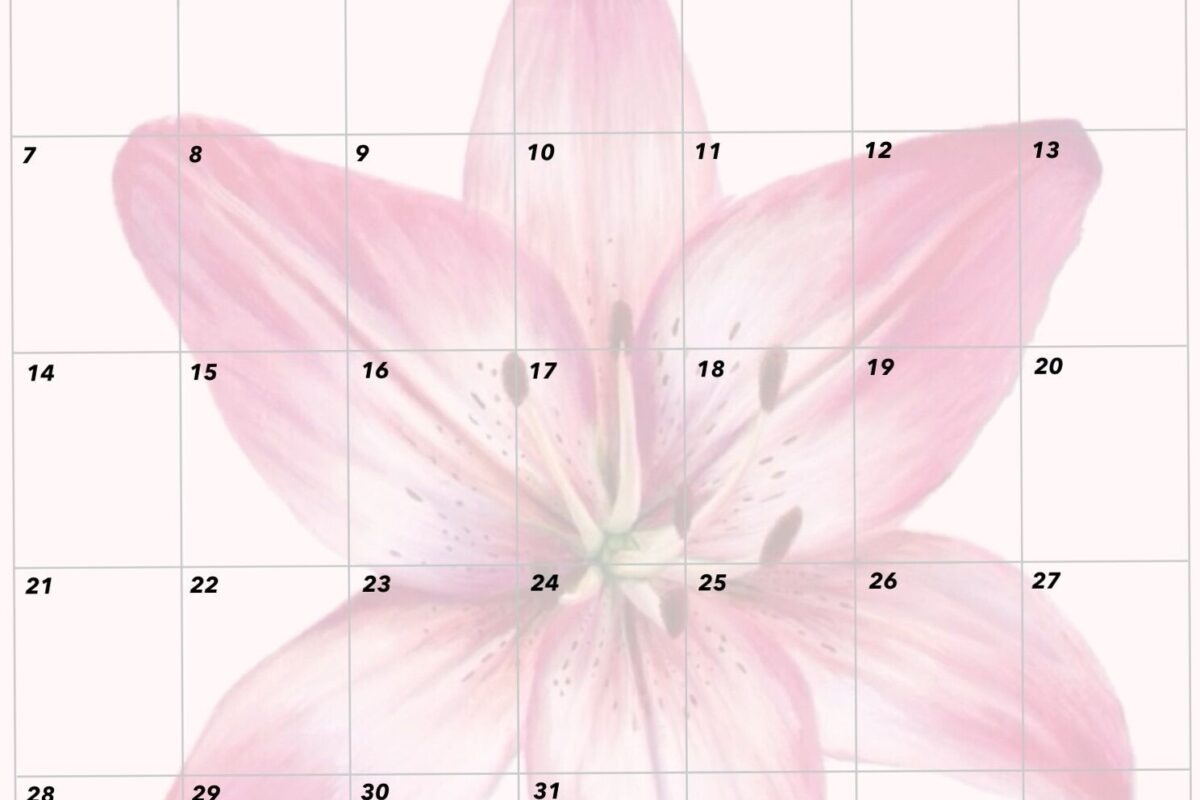 ☁️ 🎀 Pink Lily Monthly Planner Design 🎀 | stay inspired all year long