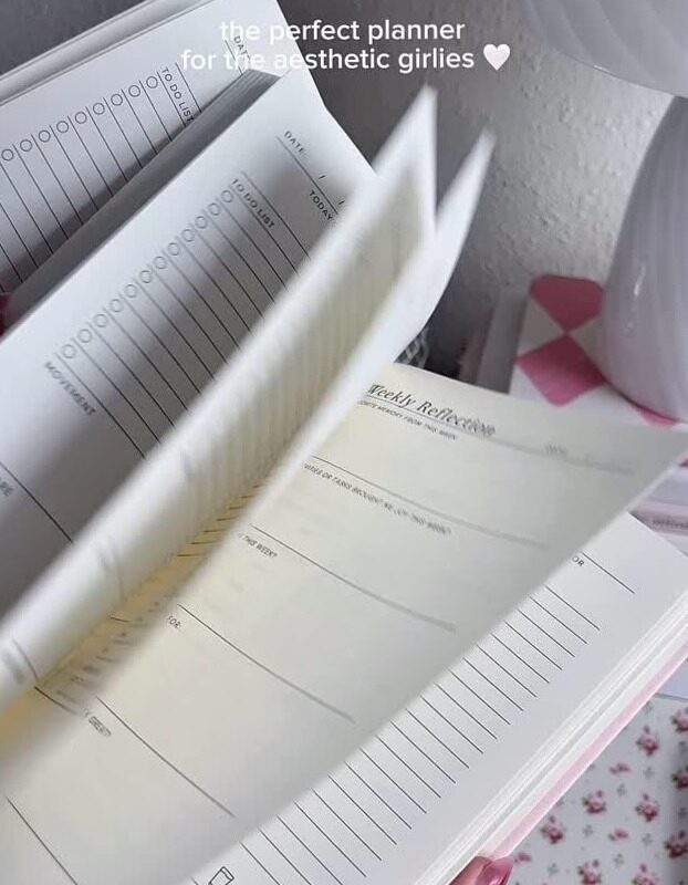 Pink Wellness Planner for Digital Design & Creative Projects — 🤍 🕯️ romanticize your routine