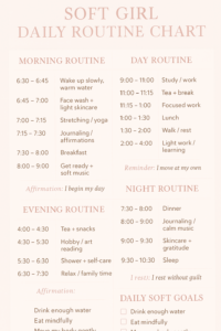 📁 📊 Soft Girl Daily Routine Planner Digital Design | dream life manifestation