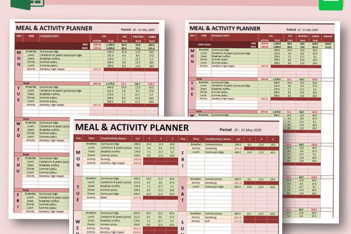 📁 📅 stay inspired all year long: Weekly Macro Meal & Activity Planner for Google Sheets & Excel