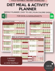 📁 📅 stay inspired all year long: Weekly Macro Meal & Activity Planner for Google Sheets & Excel