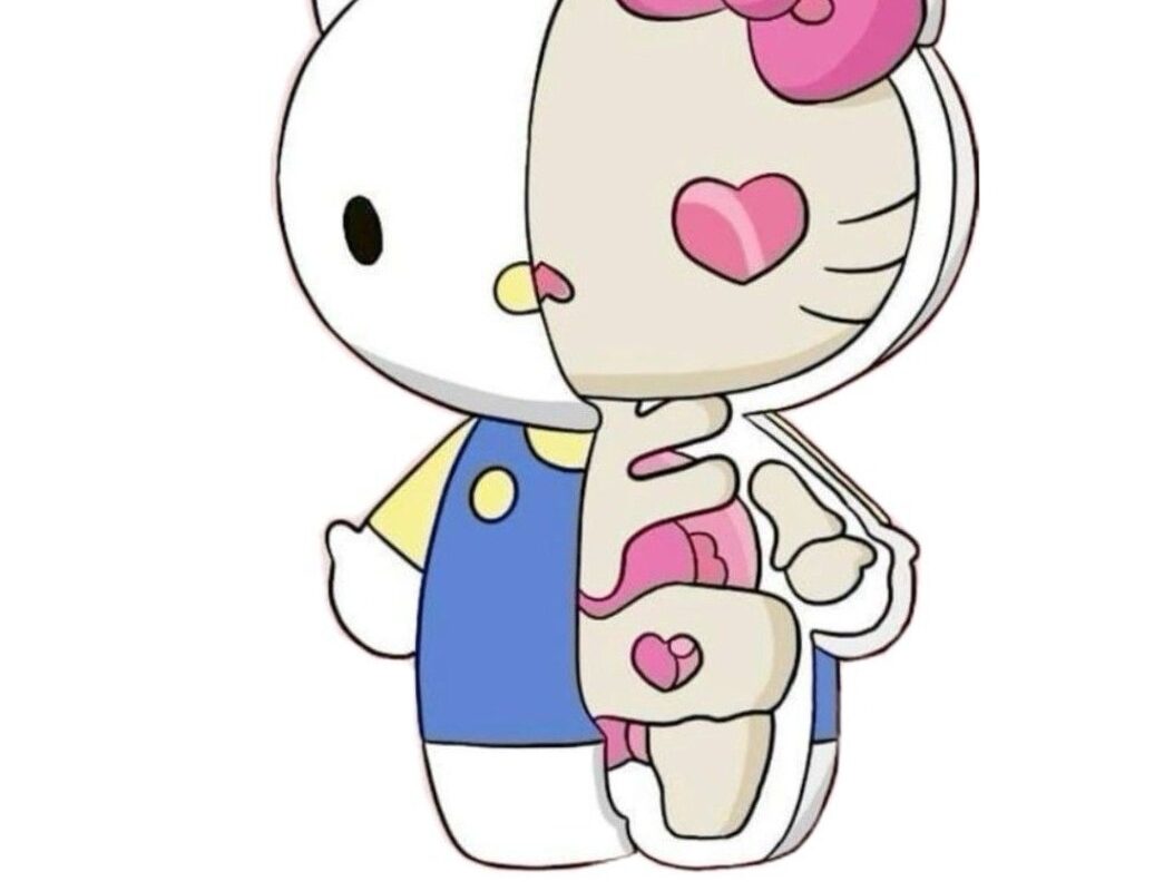 🎀 🎀 stay inspired all year long: Capa de Ciências Hello Kitty para Planner Criativo