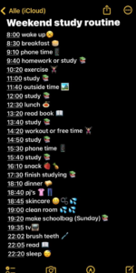 Study Routine Planner | Digital Design & Creative Assets — 🥂 👰 secret to staying productive