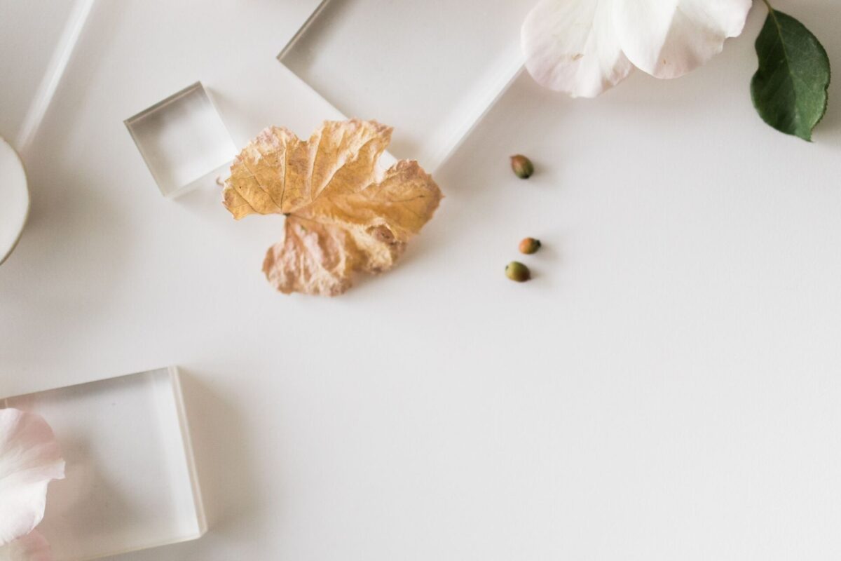 📝 📁 The Best Acrylic Styling Blocks – Sourced Co. | dream life manifestation