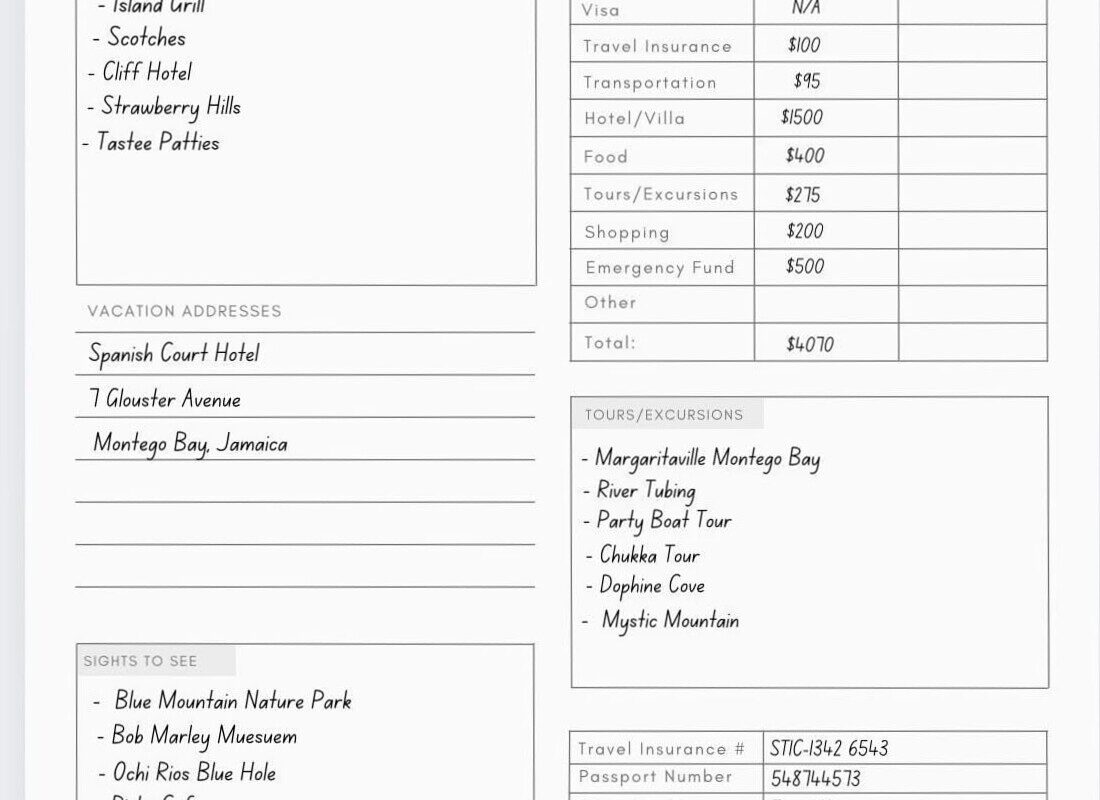 🌿 ✨ Travel Planner Journal & Printable Itinerary Insert | Happy Planner Design | seamless organization hack