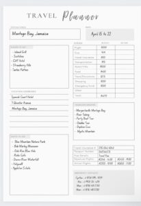 🌿 ✨ Travel Planner Journal & Printable Itinerary Insert | Happy Planner Design | seamless organization hack