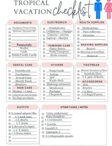 Travel Vacation Tracker for Digital Planners & Creative Designers — 🎨 🌈 ultimate printable checklist
