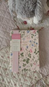 Weekly Planner Aesthetic Goals Habit Tracker — 🕯️ ☁️ ultimate printable checklist