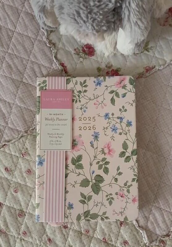 Weekly Planner Aesthetic Goals Habit Tracker — 🕯️ ☁️ ultimate printable checklist